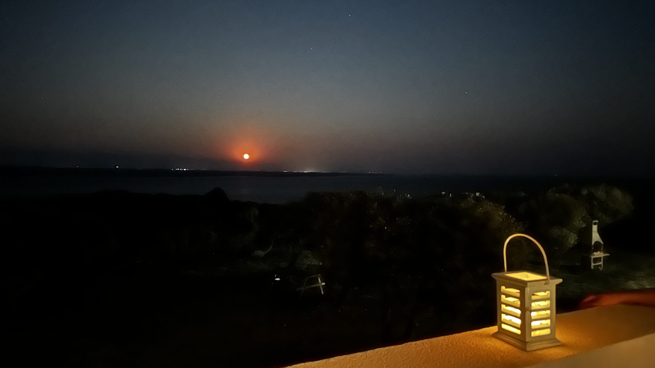 Garden nighttime view