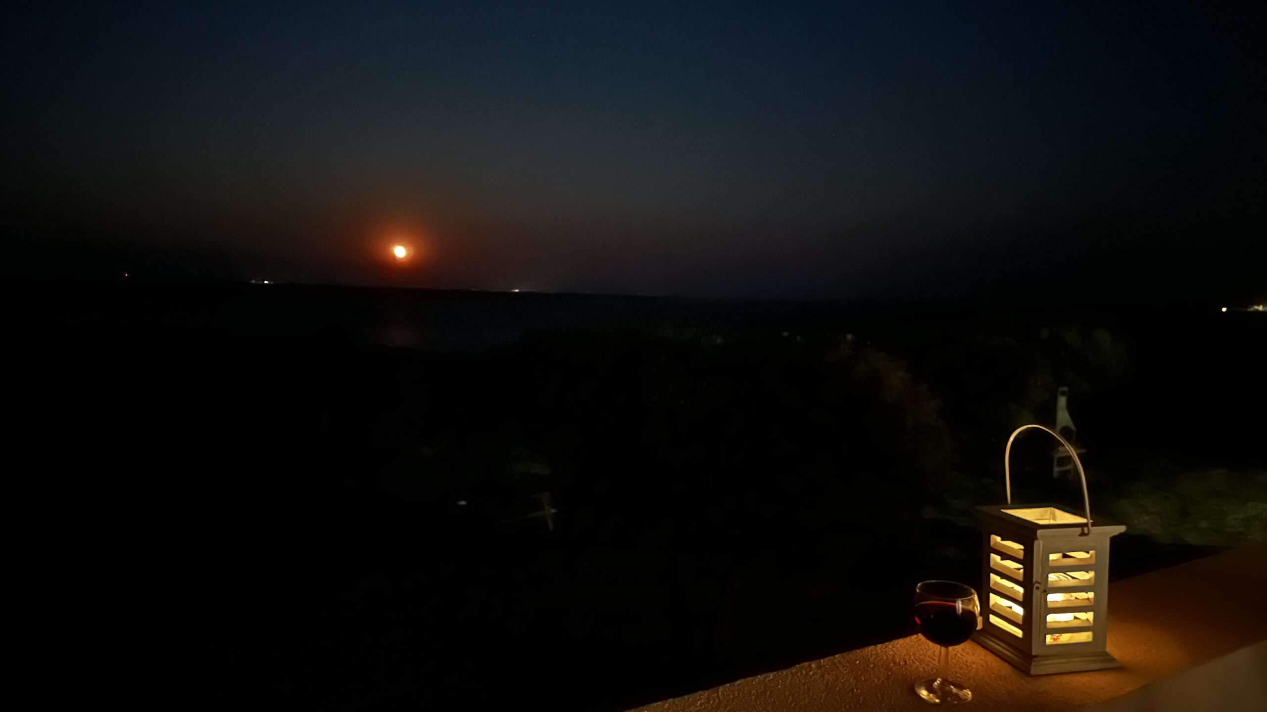 Garden nighttime view